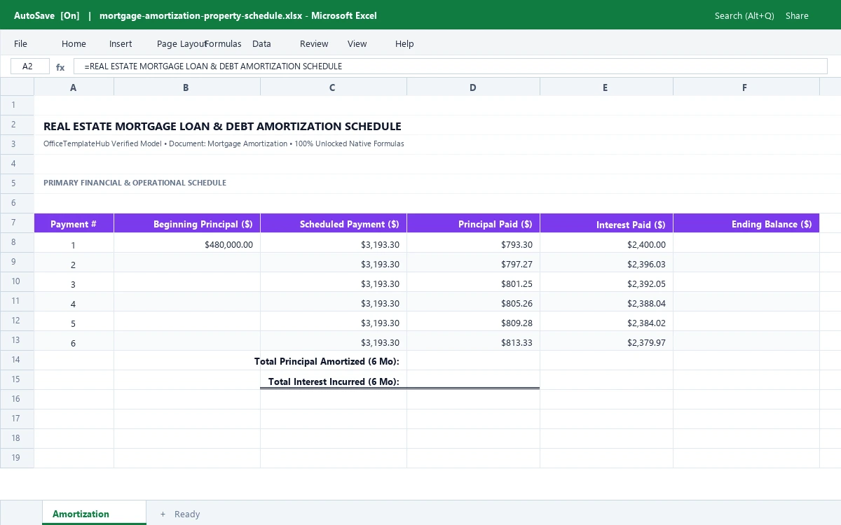 Real Estate Mortgage Loan & Debt Amortization Schedule